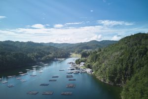雪代水が育むカキ 宮城・気仙沼