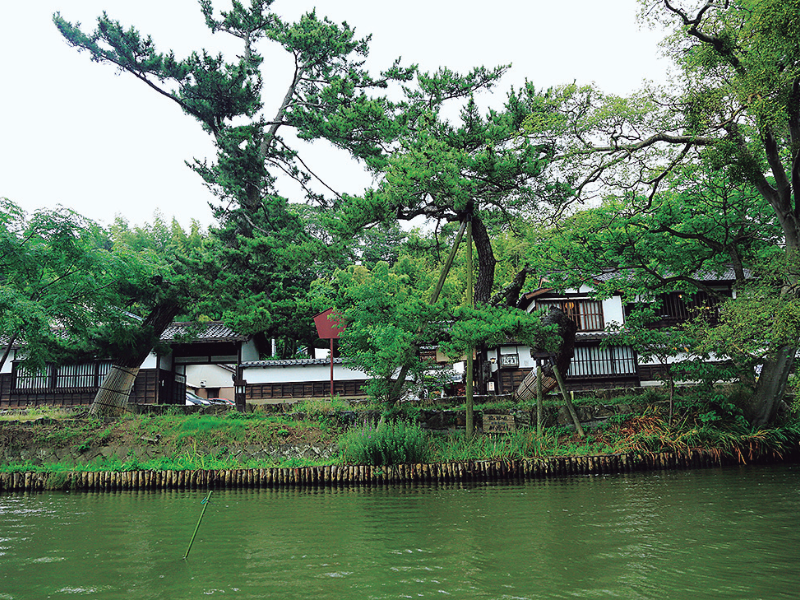 不昧公の松江・数寄者