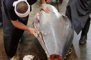 時今浪花賑活気あふれる天下の台所