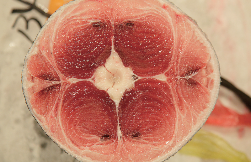時今浪花賑活気あふれる天下の台所