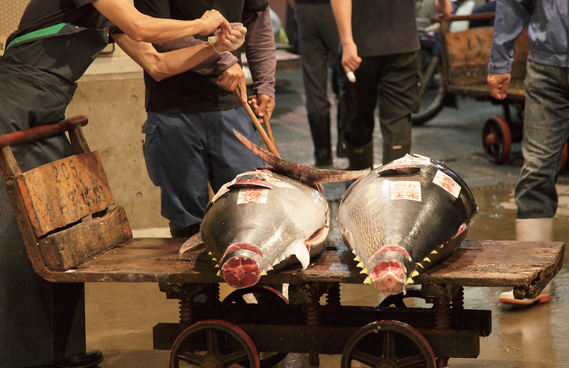 時今浪花賑活気あふれる天下の台所