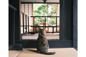 京都・五条の登り窯