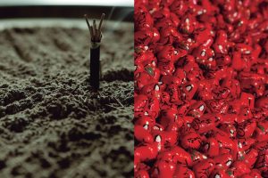 金寳冨貴・竹生島巡り