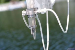 雪代水が育むカキ 宮城・気仙沼