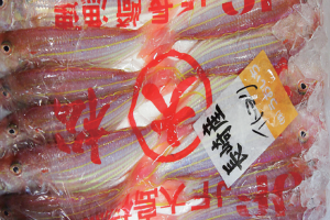 時今浪花賑活気あふれる天下の台所