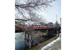 天領 飛騨高山春の高山祭「山王祭」