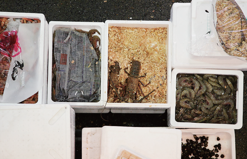 時今浪花賑活気あふれる天下の台所