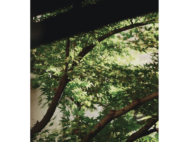 自分らしさを取り戻す一杯