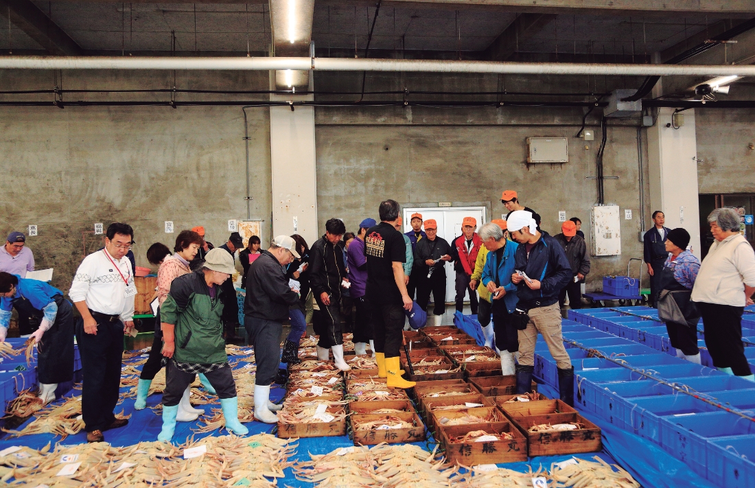 蟹と鳥取の物語松葉がにに沸く岩美町