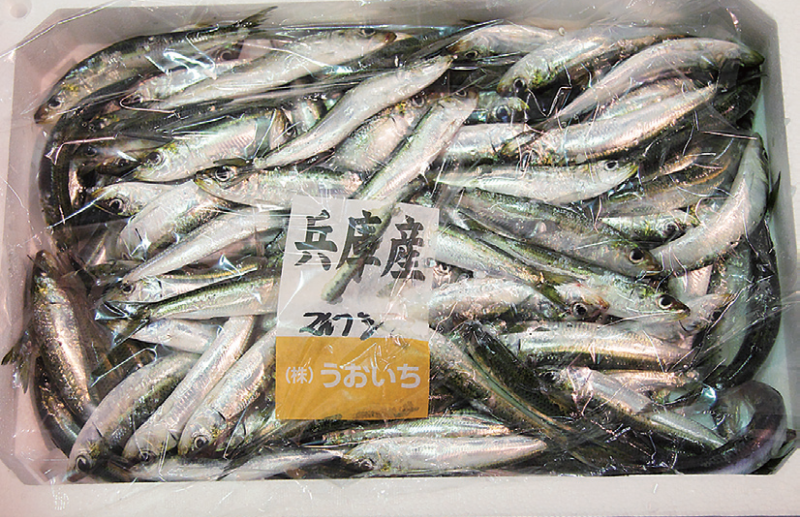 時今浪花賑活気あふれる天下の台所