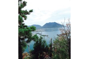 蟹と鳥取の物語松葉がにに沸く岩美町