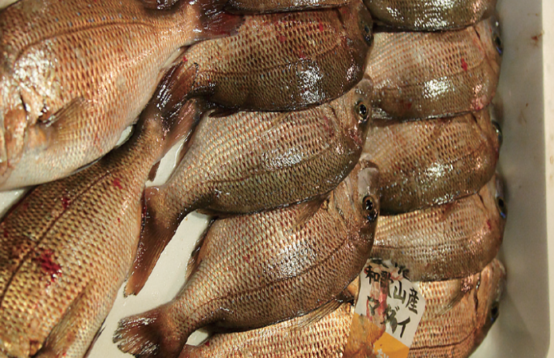 時今浪花賑活気あふれる天下の台所