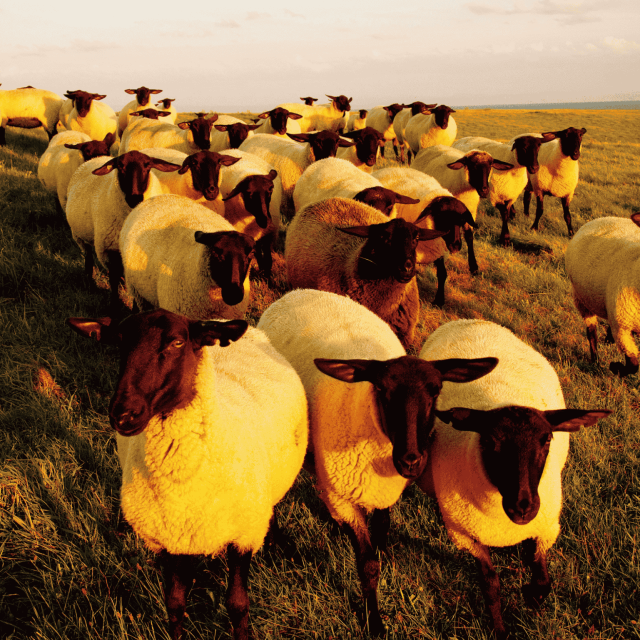 BEYOND THE TIME　2026年どこにいく