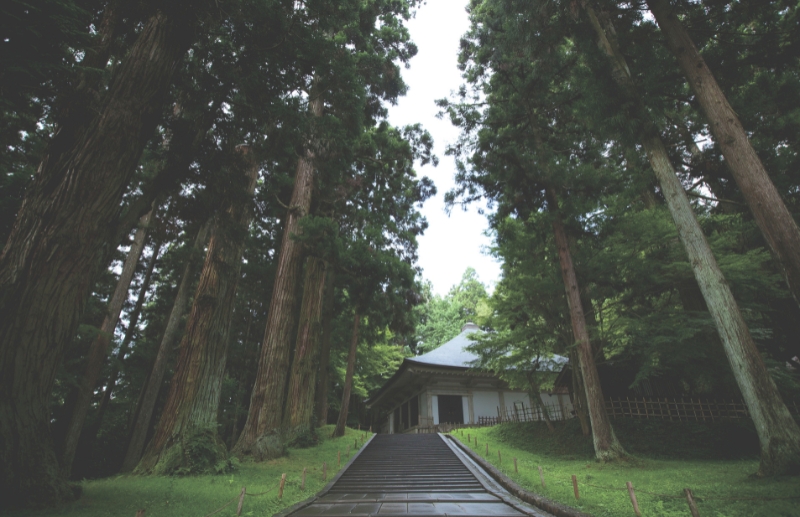 東北緑色革命情報都市「平泉」