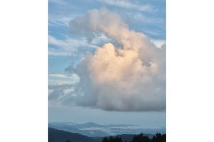 雪代水が育むカキ 宮城・気仙沼