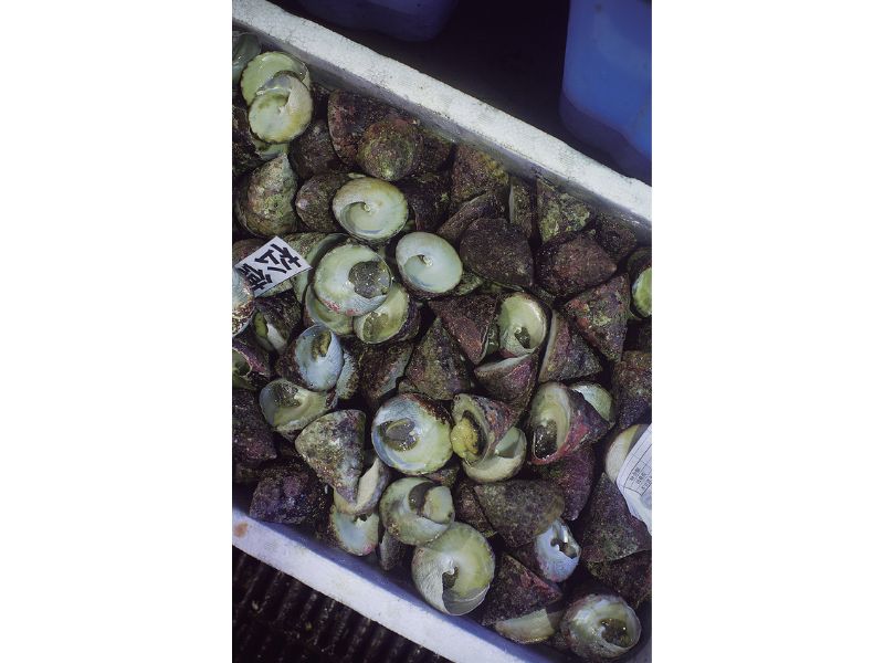 最西端の島、福江鬼門と繁栄