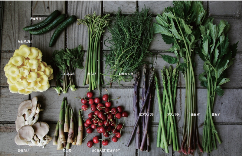 豊穣の地で育まれる伝統野菜