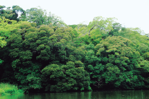 不昧公の松江・数寄者