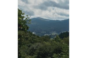 雪代水が育むカキ 宮城・気仙沼