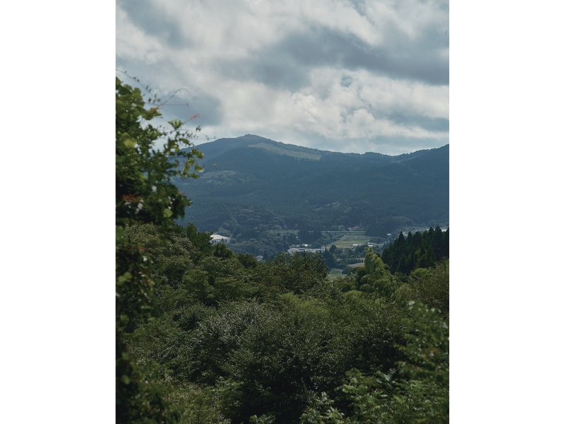 雪代水が育むカキ 宮城・気仙沼