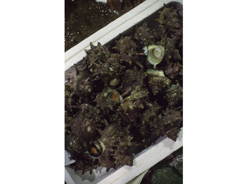 最西端の島、福江鬼門と繁栄