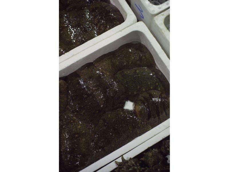 最西端の島、福江鬼門と繁栄