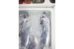 最西端の島、福江鬼門と繁栄