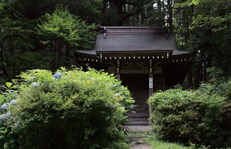 東北緑色革命情報都市「平泉」