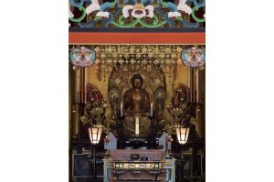 東北緑色革命情報都市「平泉」