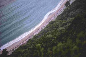 固有種から珊瑚へ沖縄・やんばる