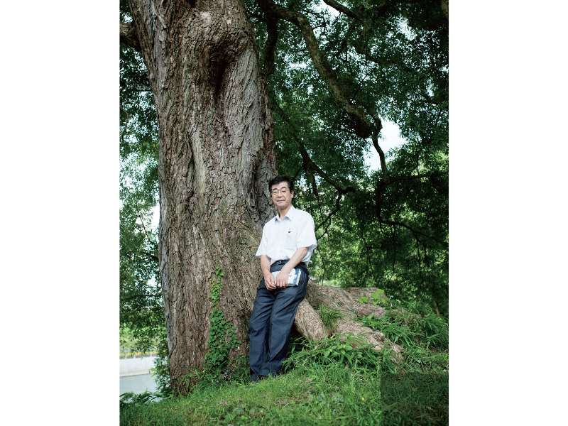 東北緑色革命情報都市「平泉」