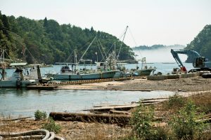 東北緑色革命風景の力、土地の力