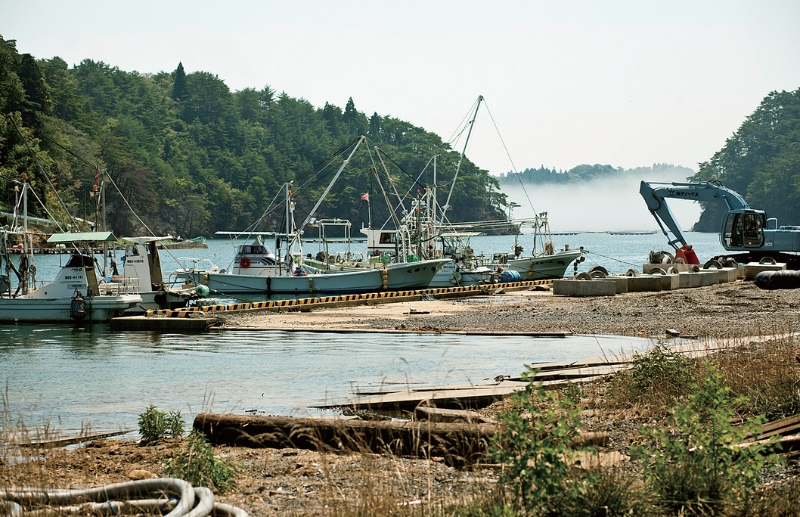 東北緑色革命風景の力、土地の力