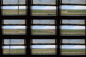 豊穣の地で育まれる伝統野菜