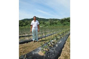 豊穣の地で育まれる伝統野菜