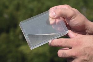 雪代水が育むカキ 宮城・気仙沼