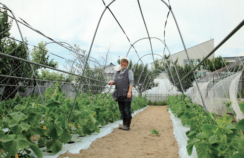 豊穣の地で育まれる伝統野菜