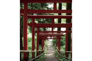 東北緑色革命情報都市「平泉」