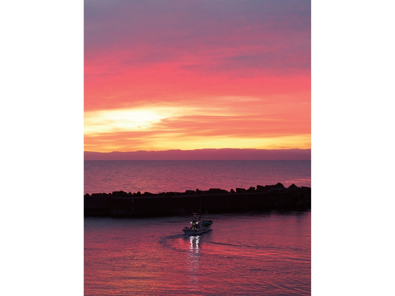 不可思議な羊の正体羊の島――焼尻島