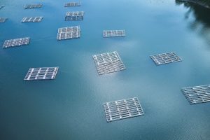 雪代水が育むカキ 宮城・気仙沼