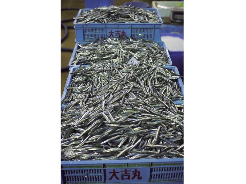 最西端の島、福江鬼門と繁栄