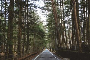 軽井沢物語　Ordinary or Extraordinary?