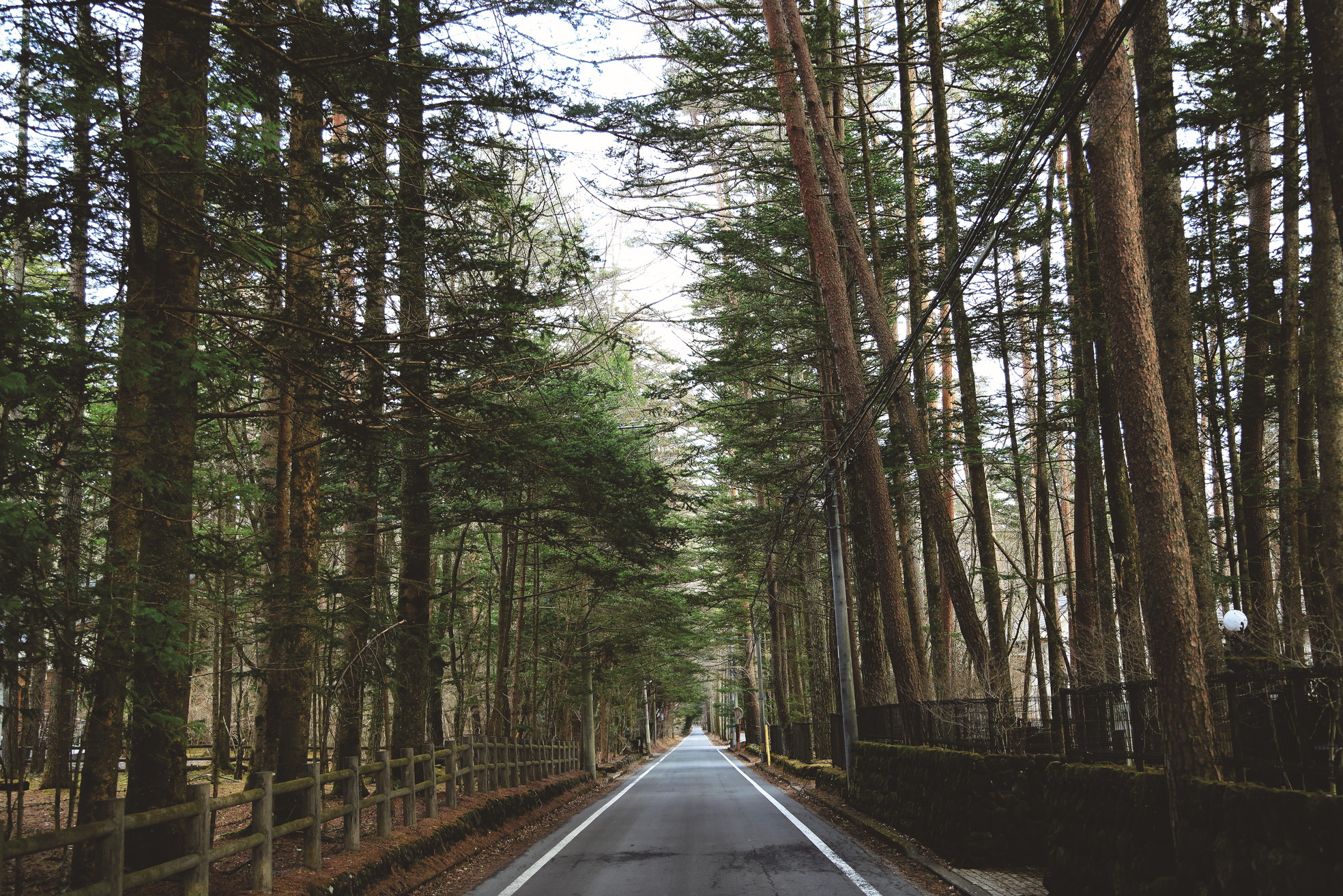 軽井沢物語　Ordinary or Extraordinary?