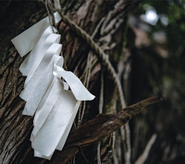 酷暑の中だからこそ思うこと